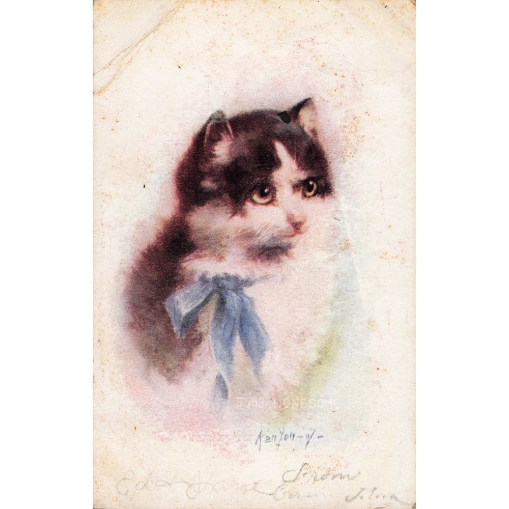 Antique Lonesome Cat Postcard 5953 Tuxedo Kitten Blue Bow Divided Back Kenyon-y- - Picture 1 of 2